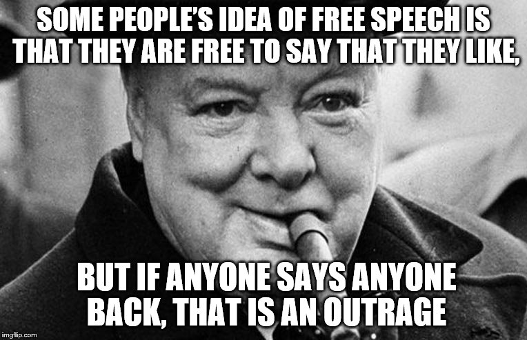 SOME PEOPLE’S IDEA OF FREE SPEECH IS THAT THEY ARE FREE TO SAY THAT THEY LIKE, BUT IF ANYONE SAYS ANYONE BACK, THAT IS AN OUTRAGE | made w/ Imgflip meme maker