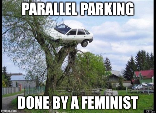 Secure Parking | PARALLEL PARKING; DONE BY A FEMINIST | image tagged in memes,secure parking | made w/ Imgflip meme maker