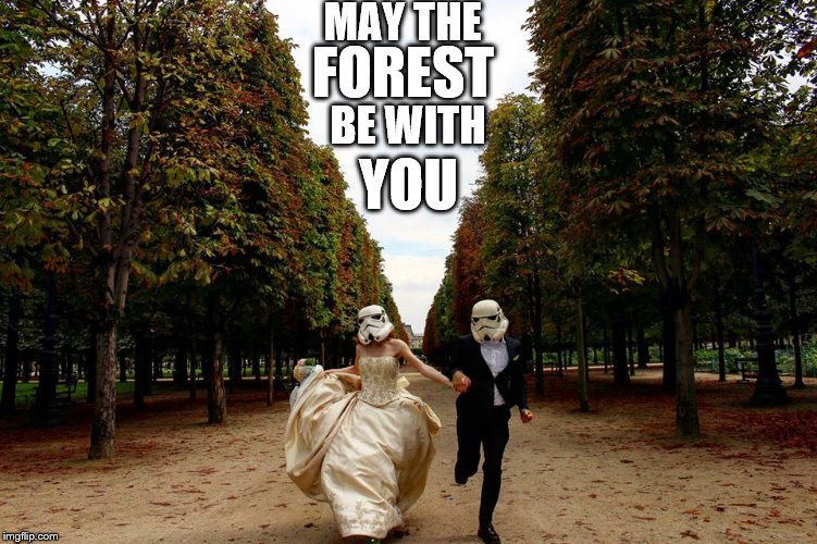 storm trooper wedding | MAY THE; FOREST; BE WITH; YOU | image tagged in storm trooper wedding | made w/ Imgflip meme maker