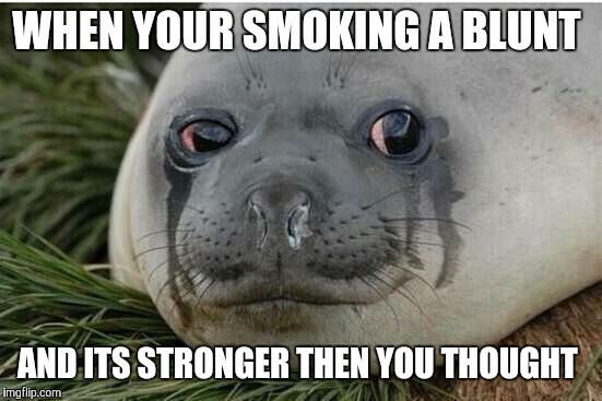 Crying Seal | WHEN YOUR SMOKING A BLUNT; AND ITS STRONGER THEN YOU THOUGHT | image tagged in crying seal | made w/ Imgflip meme maker