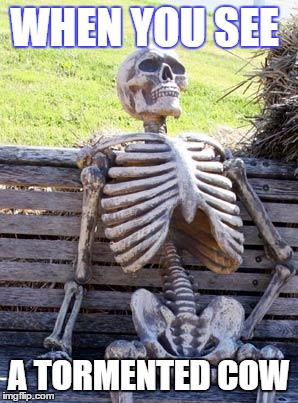 Waiting Skeleton Meme | WHEN YOU SEE; A TORMENTED COW | image tagged in memes,waiting skeleton | made w/ Imgflip meme maker