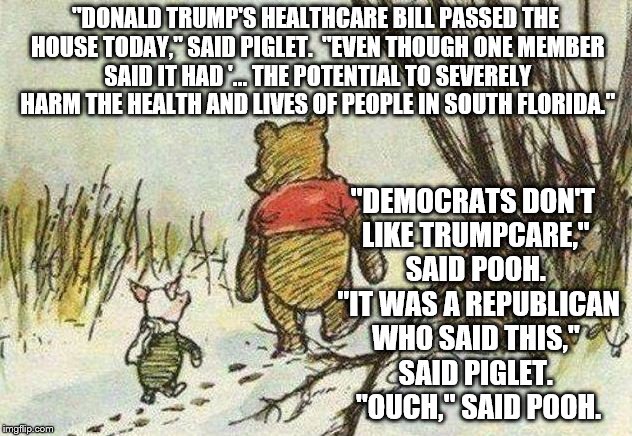 Pooh Piglet | "DONALD TRUMP'S HEALTHCARE BILL PASSED THE HOUSE TODAY," SAID PIGLET.  "EVEN THOUGH ONE MEMBER SAID IT HAD '... THE POTENTIAL TO SEVERELY HARM THE HEALTH AND LIVES OF PEOPLE IN SOUTH FLORIDA."; "DEMOCRATS DON'T LIKE TRUMPCARE," SAID POOH.  "IT WAS A REPUBLICAN WHO SAID THIS," SAID PIGLET.  "OUCH," SAID POOH. | image tagged in pooh piglet | made w/ Imgflip meme maker