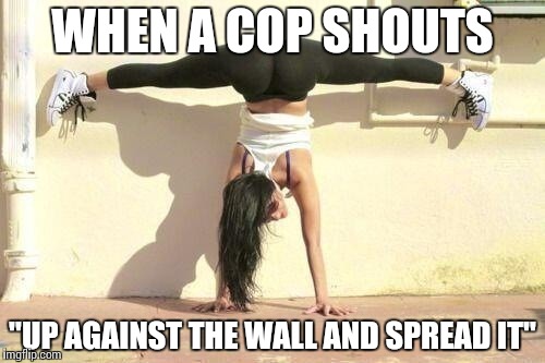 Compliance | WHEN A COP SHOUTS; "UP AGAINST THE WALL AND SPREAD IT" | image tagged in yoga pants,memes,funny,cop | made w/ Imgflip meme maker