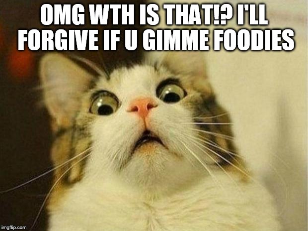 Scared Cat Meme | OMG WTH IS THAT!? I'LL FORGIVE IF U GIMME FOODIES | image tagged in memes,scared cat | made w/ Imgflip meme maker