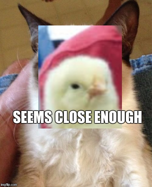 SEEMS CLOSE ENOUGH | image tagged in chick | made w/ Imgflip meme maker
