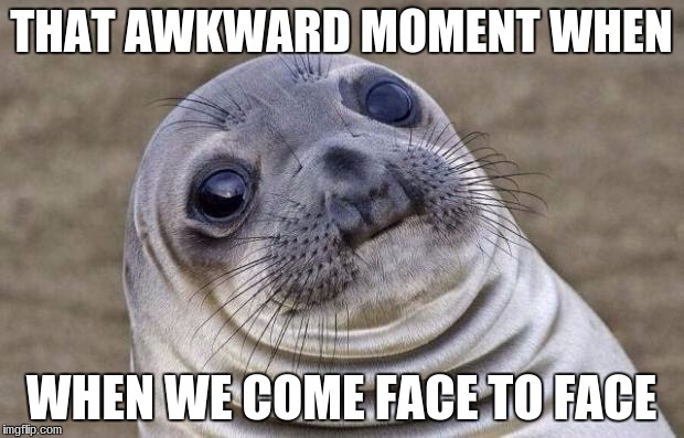 Awkward Moment Sealion Meme | THAT AWKWARD MOMENT WHEN; WHEN WE COME FACE TO FACE | image tagged in memes,awkward moment sealion | made w/ Imgflip meme maker