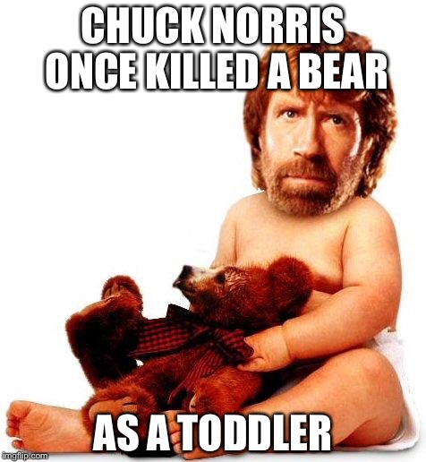 Chuck Norris | CHUCK NORRIS ONCE KILLED A BEAR; AS A TODDLER | image tagged in chuck norris | made w/ Imgflip meme maker