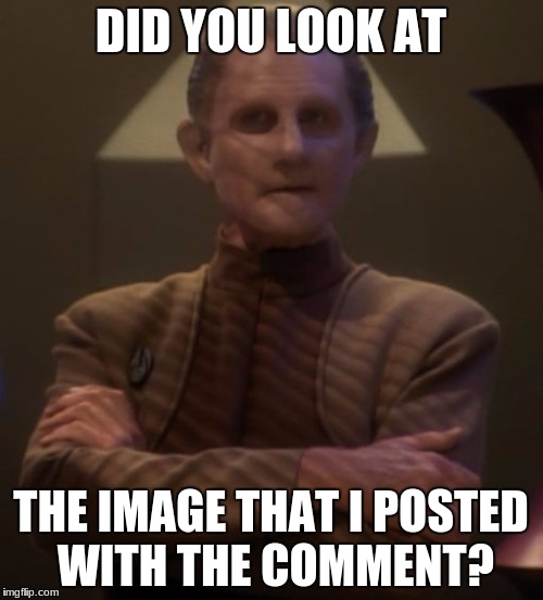 dissapointed odo | DID YOU LOOK AT THE IMAGE THAT I POSTED WITH THE COMMENT? | image tagged in dissapointed odo | made w/ Imgflip meme maker