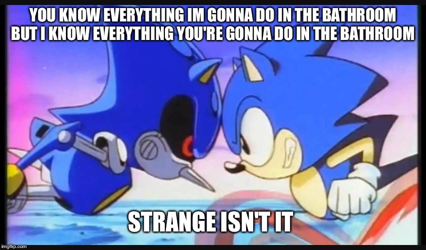 Sonic- Strange isn't it? | YOU KNOW EVERYTHING IM GONNA DO IN THE BATHROOM BUT I KNOW EVERYTHING YOU'RE GONNA DO IN THE BATHROOM; STRANGE ISN'T IT | image tagged in sonic- strange isn't it | made w/ Imgflip meme maker