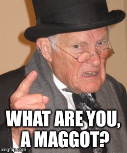 Back In My Day Meme | WHAT ARE YOU, A MAGGOT? | image tagged in memes,back in my day | made w/ Imgflip meme maker