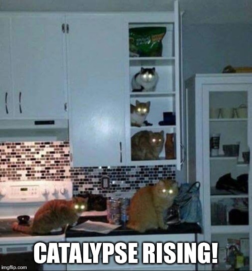 Rise of the Cats | CATALYPSE RISING! | image tagged in kittens of the corn,cats | made w/ Imgflip meme maker