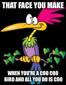 THAT FACE YOU MAKE WHEN YOU'RE A COO COO BIRD AND ALL YOU DO IS COO | made w/ Imgflip meme maker
