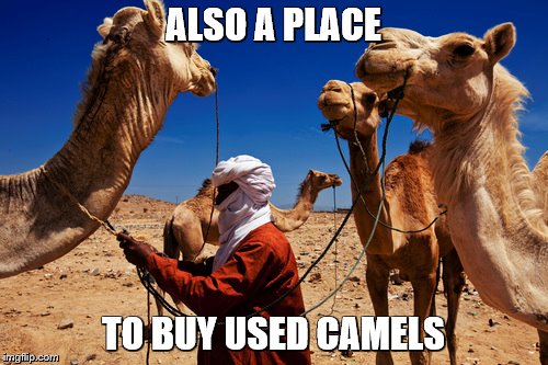 ALSO A PLACE TO BUY USED CAMELS | made w/ Imgflip meme maker