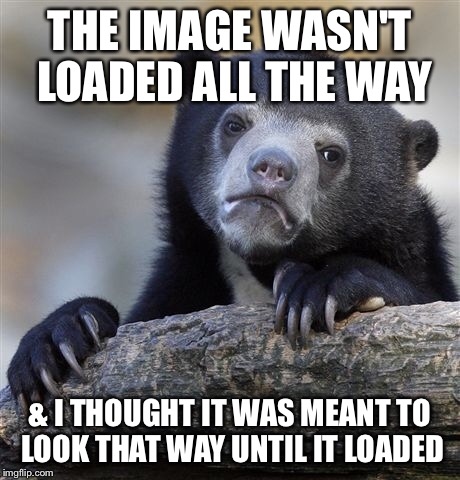 Confession Bear Meme | THE IMAGE WASN'T LOADED ALL THE WAY & I THOUGHT IT WAS MEANT TO LOOK THAT WAY UNTIL IT LOADED | image tagged in memes,confession bear | made w/ Imgflip meme maker