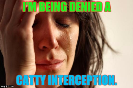 First World Problems Meme | I'M BEING DENIED A CATTY INTERCEPTION. | image tagged in memes,first world problems | made w/ Imgflip meme maker
