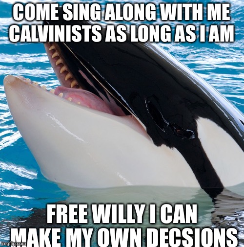 Free Willy 3  | COME SING ALONG WITH ME CALVINISTS AS LONG AS I AM; FREE WILLY I CAN MAKE MY OWN DECSIONS | image tagged in free willy 3 | made w/ Imgflip meme maker
