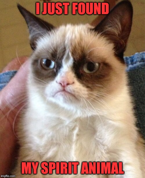 Grumpy Cat Meme | I JUST FOUND MY SPIRIT ANIMAL | image tagged in memes,grumpy cat | made w/ Imgflip meme maker