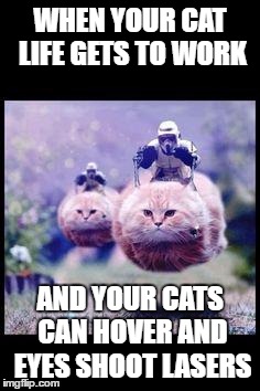 flying cat stormtrooper | WHEN YOUR CAT LIFE GETS TO WORK; AND YOUR CATS CAN HOVER AND EYES SHOOT LASERS | image tagged in flying cat stormtrooper | made w/ Imgflip meme maker