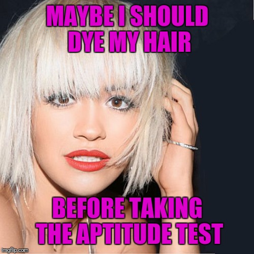 ditz | MAYBE I SHOULD DYE MY HAIR BEFORE TAKING THE APTITUDE TEST | image tagged in ditz | made w/ Imgflip meme maker