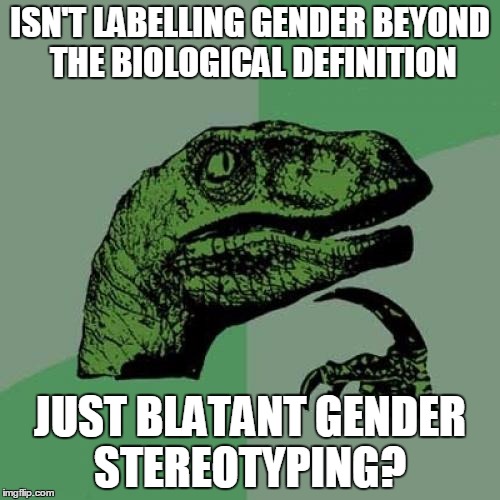 Philosoraptor Meme | ISN'T LABELLING GENDER BEYOND THE BIOLOGICAL DEFINITION; JUST BLATANT GENDER STEREOTYPING? | image tagged in memes,philosoraptor | made w/ Imgflip meme maker