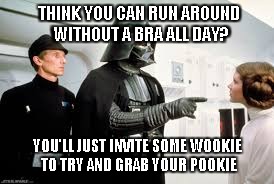 Star Wars | THINK YOU CAN RUN AROUND WITHOUT A BRA ALL DAY? YOU'LL JUST INVITE SOME WOOKIE TO TRY AND GRAB YOUR POOKIE | image tagged in star wars | made w/ Imgflip meme maker