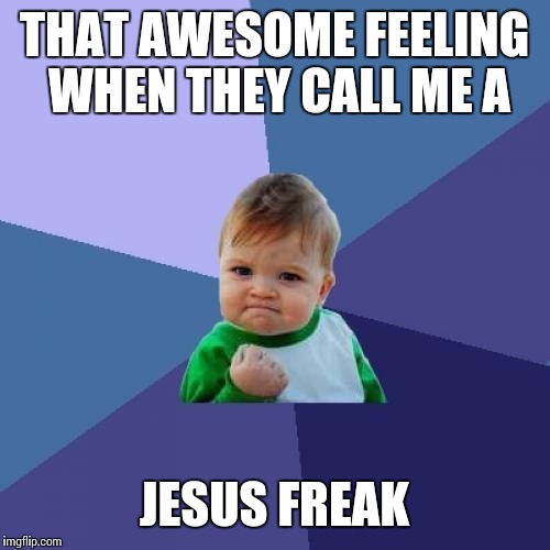 Success Kid | THAT AWESOME FEELING WHEN THEY CALL ME A; JESUS FREAK | image tagged in memes,success kid | made w/ Imgflip meme maker