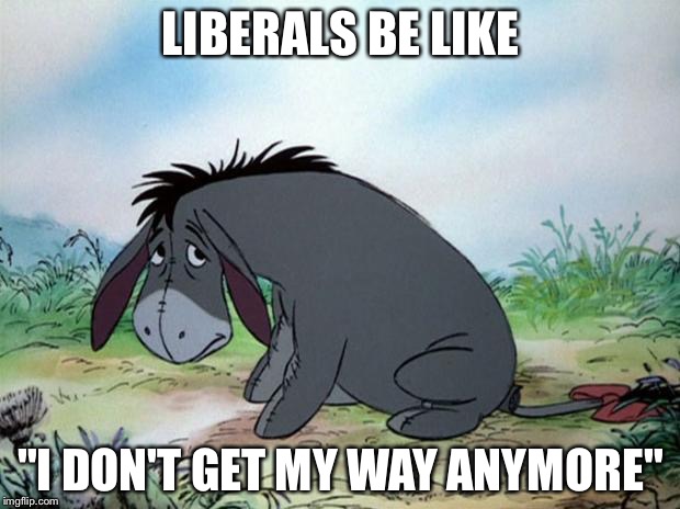 eeyore | LIBERALS BE LIKE; "I DON'T GET MY WAY ANYMORE" | image tagged in eeyore | made w/ Imgflip meme maker
