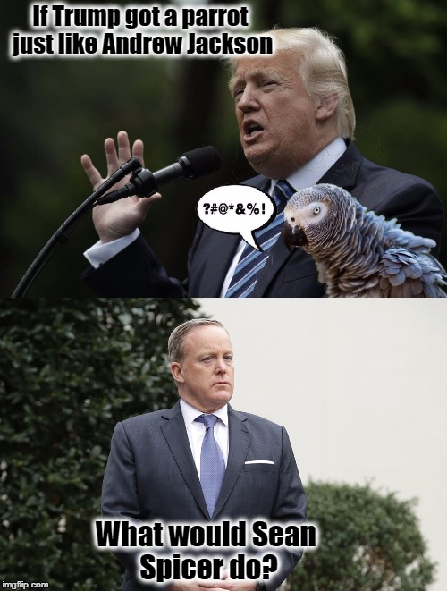 Trump and Andrew Jackson's Parrot | If Trump got a parrot just like Andrew Jackson; What would Sean Spicer do? | image tagged in donald trump,sean spicer,resist,andrew jackson,parrot | made w/ Imgflip meme maker