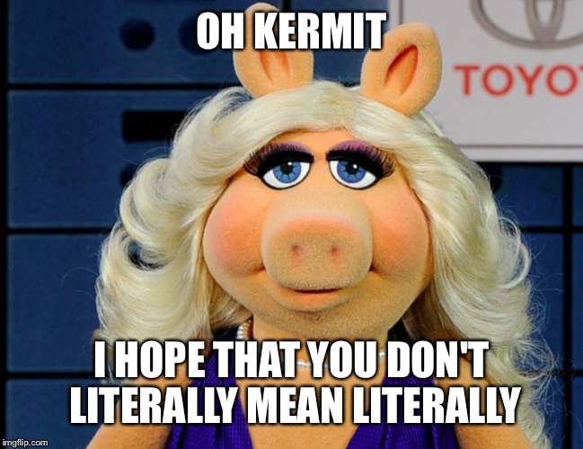 OH KERMIT I HOPE THAT YOU DON'T LITERALLY MEAN LITERALLY | made w/ Imgflip meme maker
