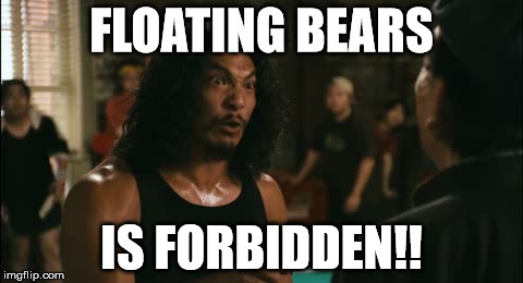 wilo | FLOATING BEARS IS FORBIDDEN!! | image tagged in wilo | made w/ Imgflip meme maker