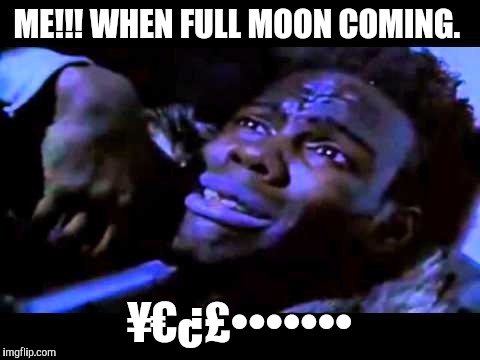 pookie | ME!!! WHEN FULL MOON COMING. ¥€¿£••••••• | image tagged in pookie | made w/ Imgflip meme maker
