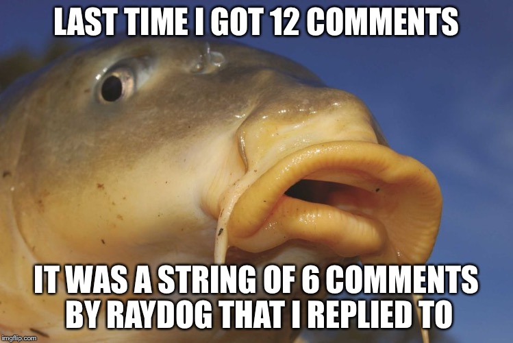 Carp | LAST TIME I GOT 12 COMMENTS IT WAS A STRING OF 6 COMMENTS BY RAYDOG THAT I REPLIED TO | image tagged in carp | made w/ Imgflip meme maker
