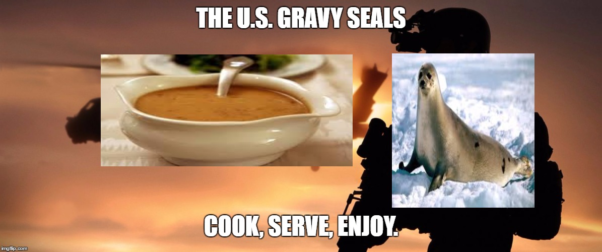 I sincerely apologize for the poor editing in this.  | THE U.S. GRAVY SEALS; COOK, SERVE, ENJOY. | image tagged in navy seals | made w/ Imgflip meme maker