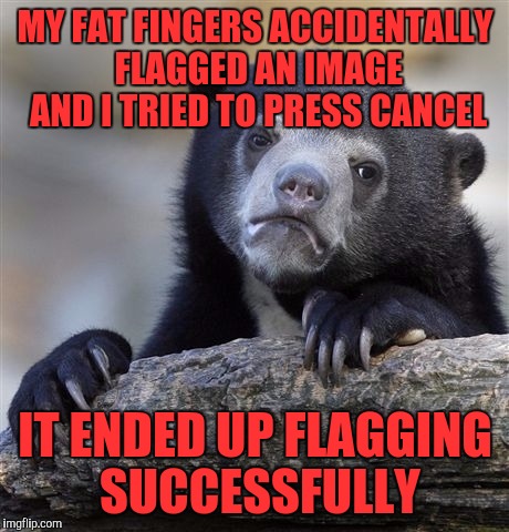 Confession Bear | MY FAT FINGERS ACCIDENTALLY FLAGGED AN IMAGE AND I TRIED TO PRESS CANCEL; IT ENDED UP FLAGGING SUCCESSFULLY | image tagged in memes,confession bear | made w/ Imgflip meme maker