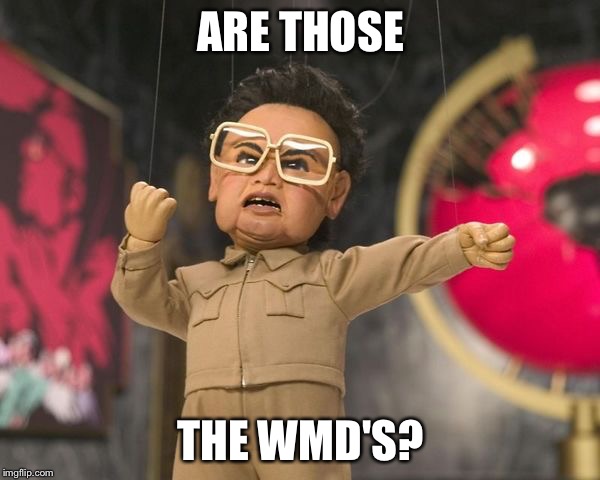 Team America Kim  | ARE THOSE; THE WMD'S? | image tagged in team america kim | made w/ Imgflip meme maker