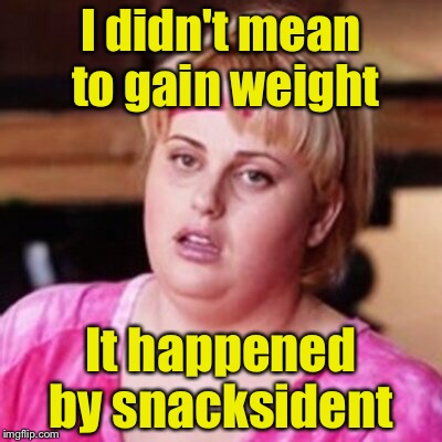 Snacksident | I didn't mean to gain weight; It happened by snacksident | image tagged in fat amy | made w/ Imgflip meme maker