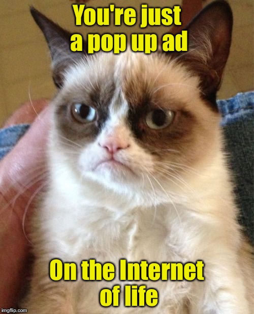 And I'm a pop up blocker | You're just a pop up ad; On the Internet of life | image tagged in memes,grumpy cat | made w/ Imgflip meme maker