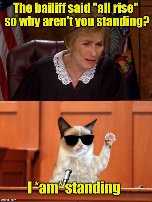 Judge Judy and The Cat | The bailiff said "all rise" so why aren't you standing? I *am* standing | image tagged in judge judy and the cat | made w/ Imgflip meme maker