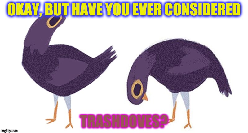 OKAY, BUT HAVE YOU EVER CONSIDERED TRASHDOVES? | made w/ Imgflip meme maker