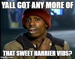 Y'all Got Any More Of That Meme | YALL GOT ANY MORE OF; THAT SWEET HARRIER VIDS? | image tagged in memes,yall got any more of | made w/ Imgflip meme maker