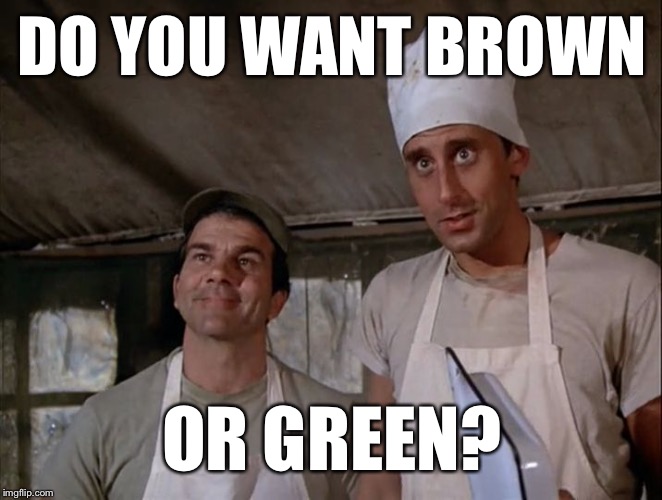 DO YOU WANT BROWN OR GREEN? | made w/ Imgflip meme maker