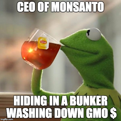 But That's None Of My Business Meme | CEO OF MONSANTO; HIDING IN A BUNKER WASHING DOWN GMO $ | image tagged in memes,but thats none of my business,kermit the frog | made w/ Imgflip meme maker