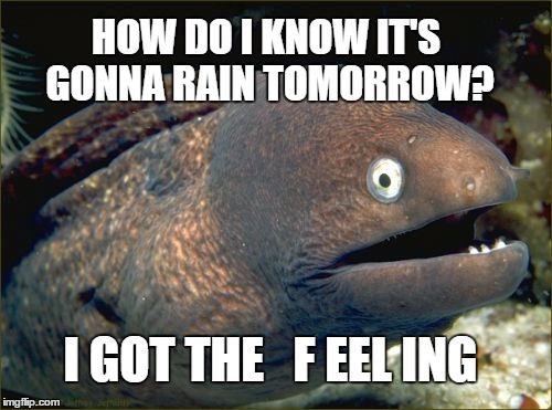 Bad Joke Eel Meme | HOW DO I KNOW IT'S GONNA RAIN TOMORROW? I GOT THE   F EEL ING | image tagged in memes,bad joke eel | made w/ Imgflip meme maker