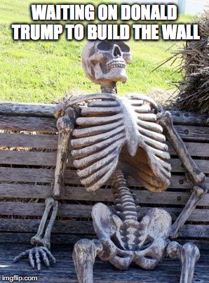 Waiting Skeleton Meme | WAITING ON DONALD TRUMP TO BUILD THE WALL | image tagged in memes,waiting skeleton | made w/ Imgflip meme maker