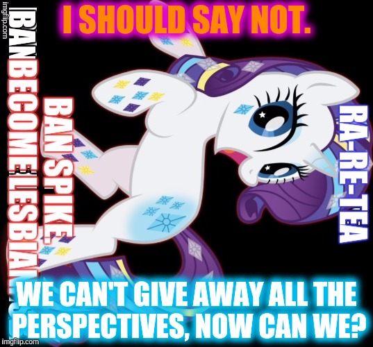 I SHOULD SAY NOT. WE CAN'T GIVE AWAY ALL THE PERSPECTIVES, NOW CAN WE? | made w/ Imgflip meme maker