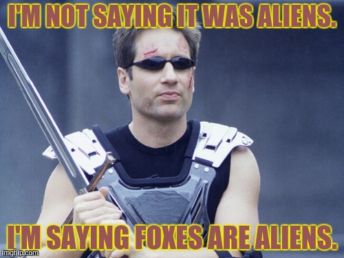 I'M NOT SAYING IT WAS ALIENS. I'M SAYING FOXES ARE ALIENS. | made w/ Imgflip meme maker