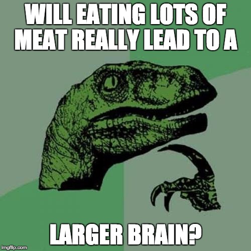 Philosoraptor | WILL EATING LOTS OF MEAT REALLY LEAD TO A; LARGER BRAIN? | image tagged in vegan logic,omnivores rule,protein,steak,vegan | made w/ Imgflip meme maker