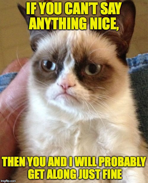 Grumpy’s Conversation Strategy | IF YOU CAN’T SAY ANYTHING NICE, THEN YOU AND I WILL PROBABLY GET ALONG JUST FINE | image tagged in memes,grumpy cat | made w/ Imgflip meme maker