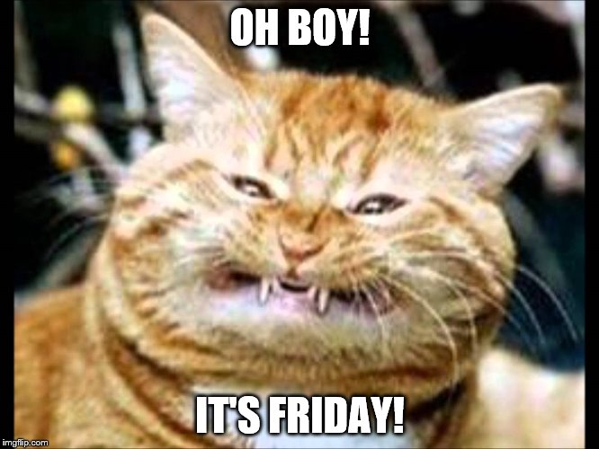 Friday | OH BOY! IT'S FRIDAY! | image tagged in friday | made w/ Imgflip meme maker