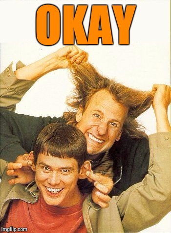 DUMB and dumber | OKAY | image tagged in dumb and dumber | made w/ Imgflip meme maker